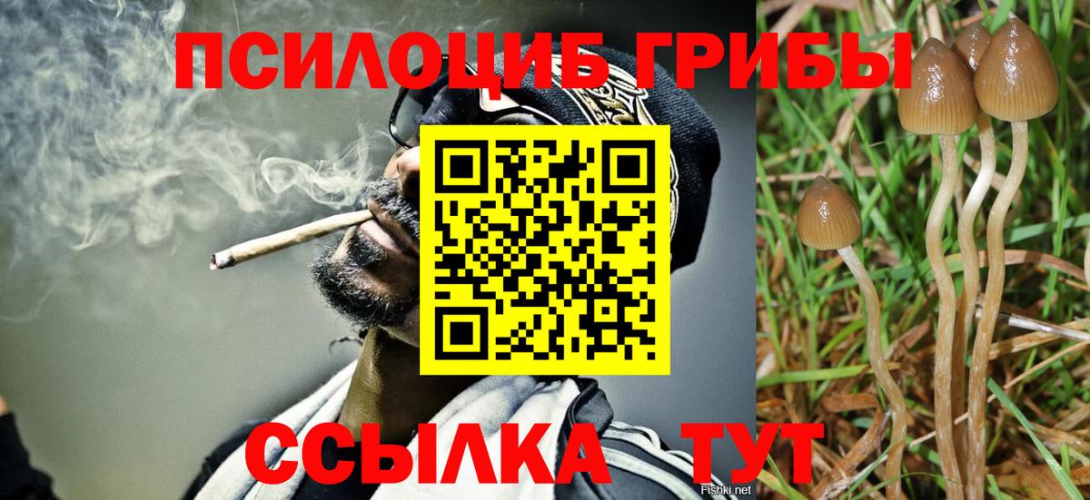 Галлюциногенные грибы Cubensis  Вход с VPN  Канаш  Галлюциногенные грибы мицелий 