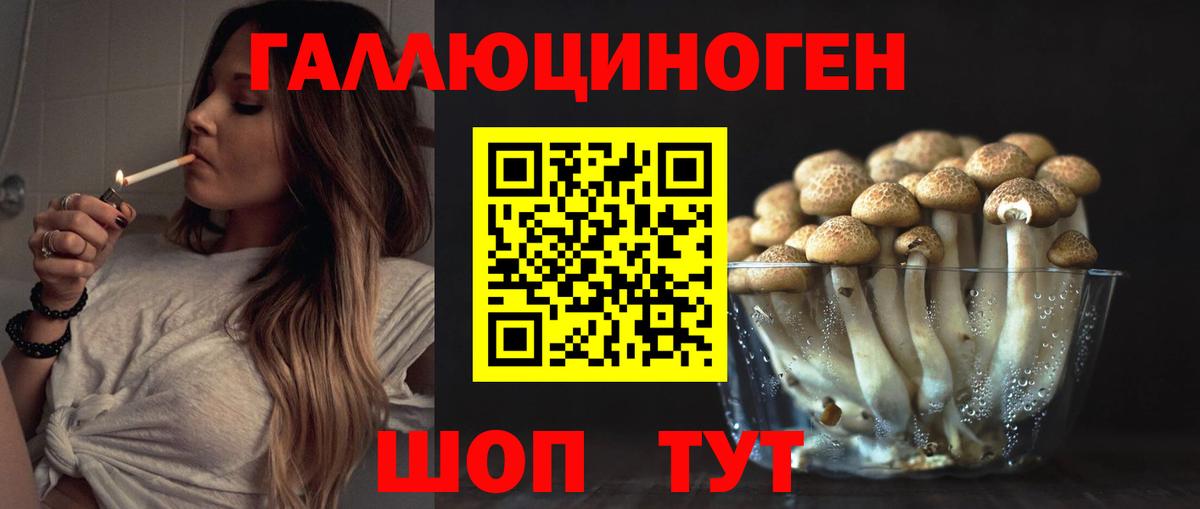 Псилоцибиновые грибы мицелий Канаш